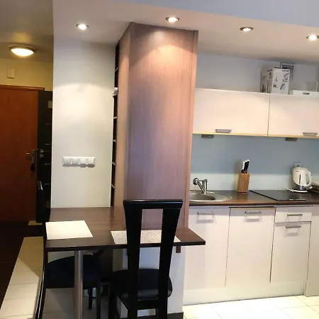 Apartment 117 Krynica Zdroj
