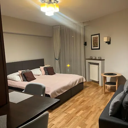 Apartment 117 Krynica Zdroj